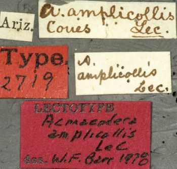 Media type: image;   Entomology 2719 Aspect: labels